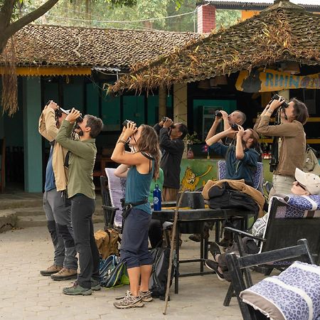 Chitwan Gaida Lodge - Animal Lovers & Birdwatchers Paradise Sauraha Exterior photo