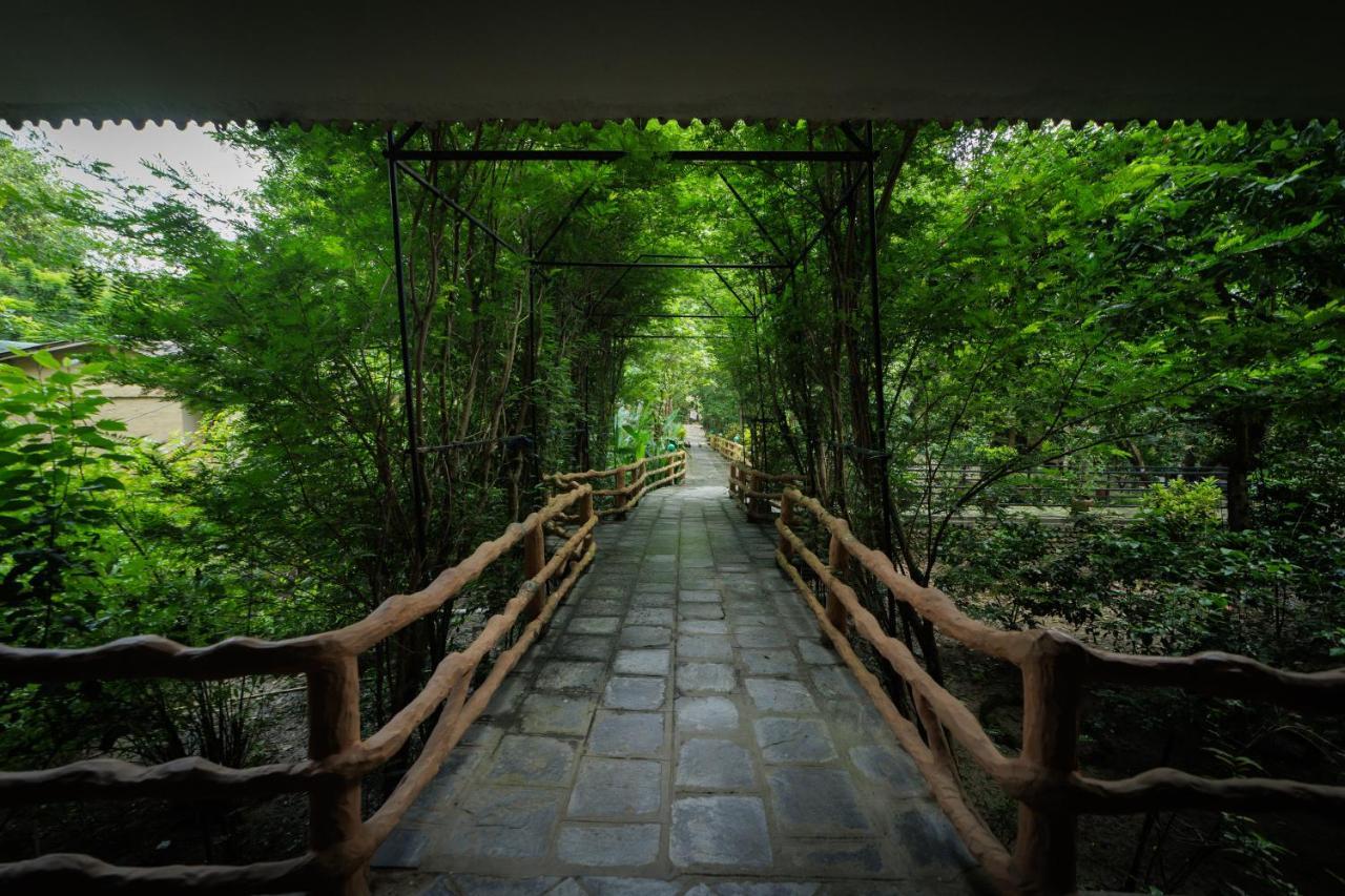 Chitwan Gaida Lodge - Animal Lovers & Birdwatchers Paradise Sauraha Exterior photo