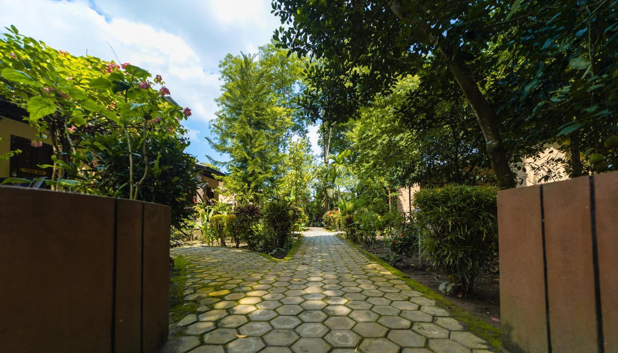 Chitwan Gaida Lodge - Animal Lovers & Birdwatchers Paradise Sauraha Exterior photo