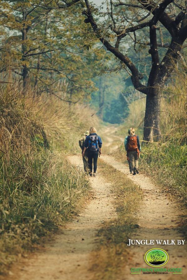 Chitwan Gaida Lodge - Animal Lovers & Birdwatchers Paradise Sauraha Exterior photo