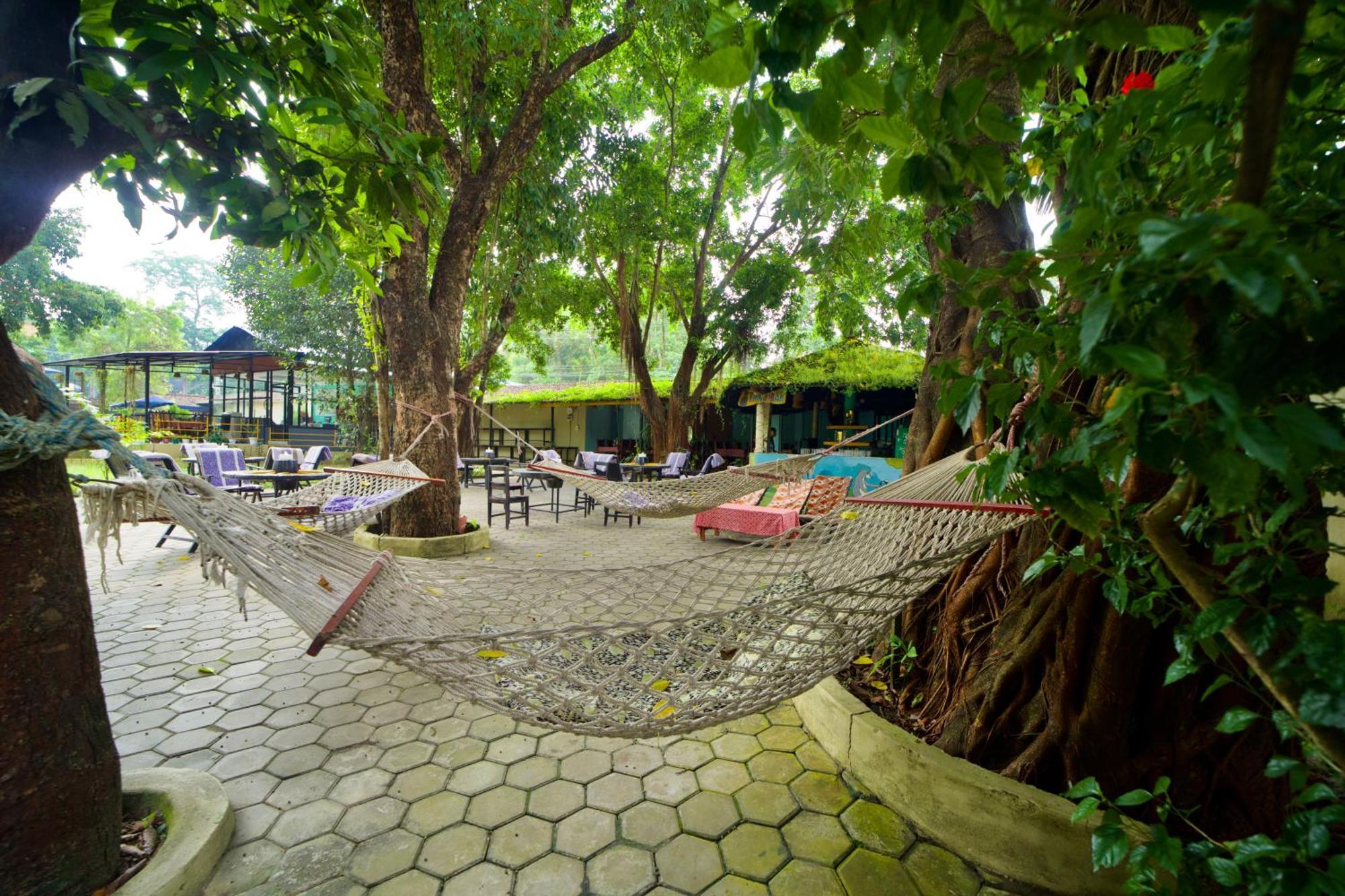 Chitwan Gaida Lodge - Animal Lovers & Birdwatchers Paradise Sauraha Exterior photo